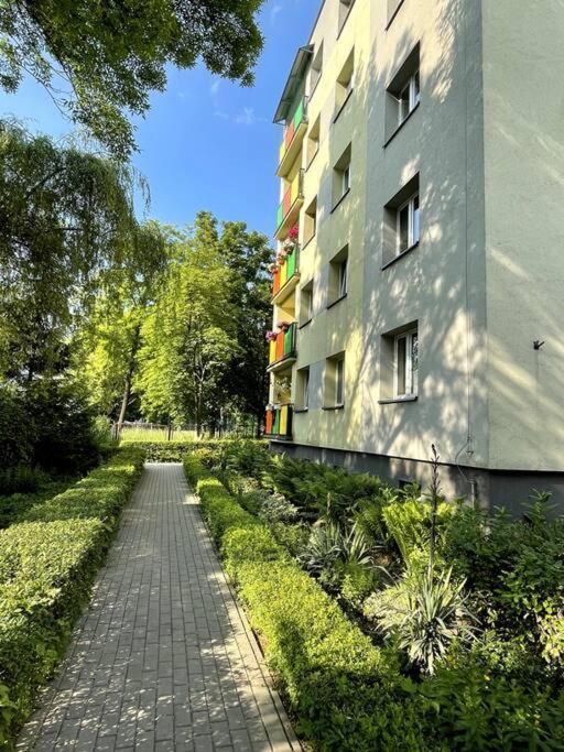 Sunny Apartment In Silesia Czeladź Exterior foto